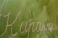 В Самаре на карантин закрыли еще восемь школ