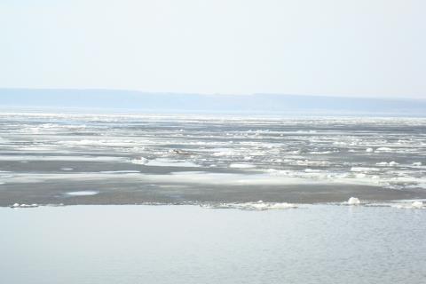 Вода на 2-х пляжах Тольятти не соответствует нормативам