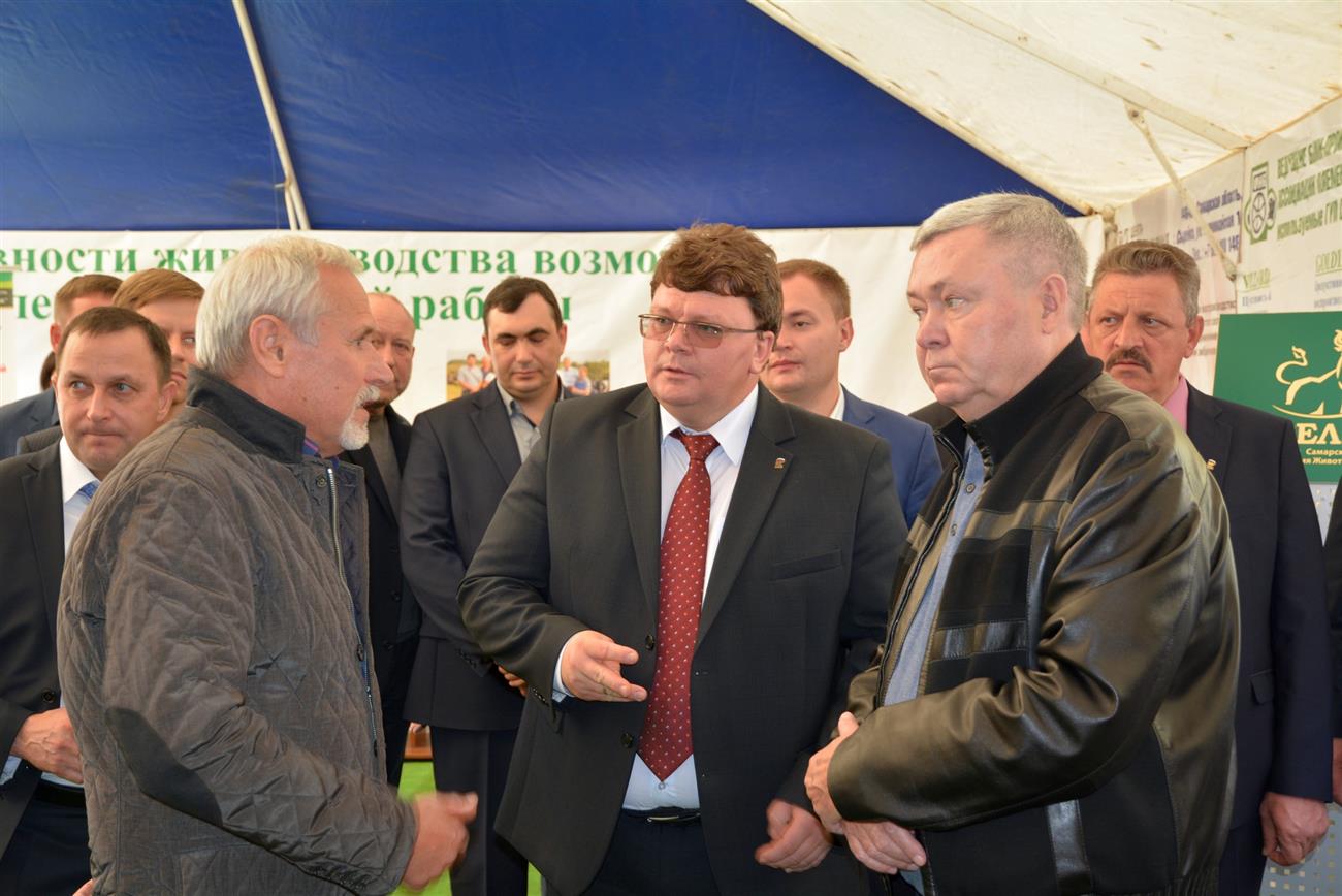Областная поликлинику гомель