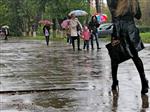 В Самарской области в ближайшие три дня будут идти кратковременные дожди