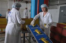 В Самаре открылась линия по производству фасованных жареных семечек