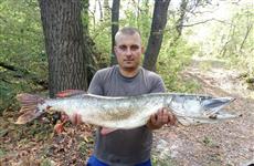 Самарские рыболовы хвастают первыми осенними трофеями