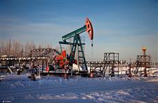 Нефтяные компании готовы заплатить 1 млрд руб. за четыре месторождения в Самарской области