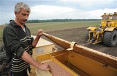 Посевная площадь на 2017 год в регионе составит более 2 млн га