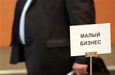 Губерния получит 91,7 млн руб. на поддержку малого и среднего бизнеса