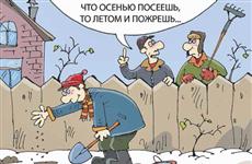Сажаем морковь, свеклу и укроп, чтобы они взошли весной