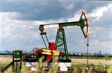 Питерский девелопер купил два нефтяных участка в Самарской области