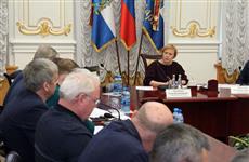 Елена Лапушкина: "Возвращаемся к старой доброй традиции - пешему обходу районов"