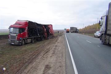 Водитель фуры DAF погиб после столкновения с другим грузовиком