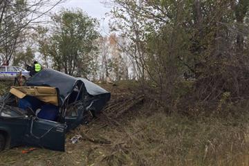 В Кинель-Черкасском районе погиб съехавший в кювет и врезавшийся в дерево водитель 
