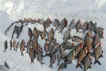 В Сызрани двух мужчин будут судить за незаконную рыбалку
