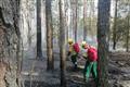 С 20 апреля в лесах Марий Эл установлен особый противопожарный режим