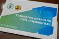 Глава Чувашии утвердил Стратегию развития "Чувашгаза"