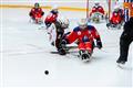 Мордовия приняла участие в Международном фестивале адаптивного хоккея