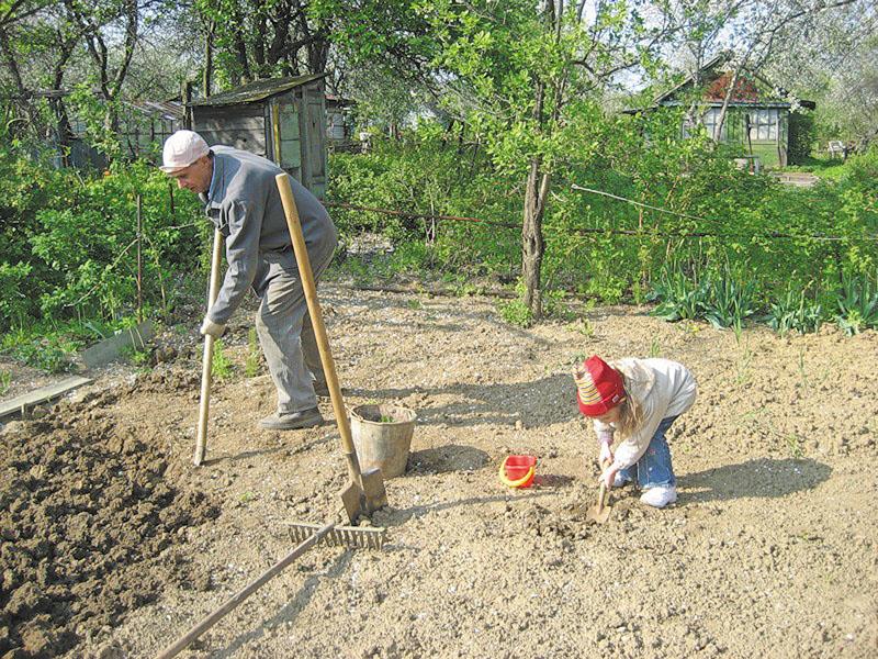 Надо сада. Весенний труд на огороде. Огород весной. Труд на садовом участке. Труд детей на приусадебном участке.