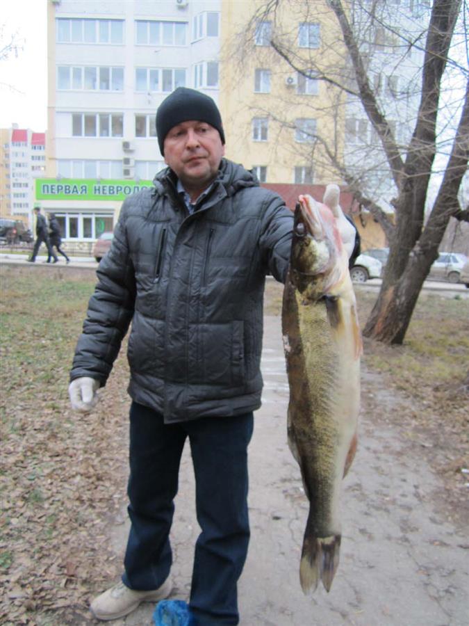Фото Волжской Рыбы