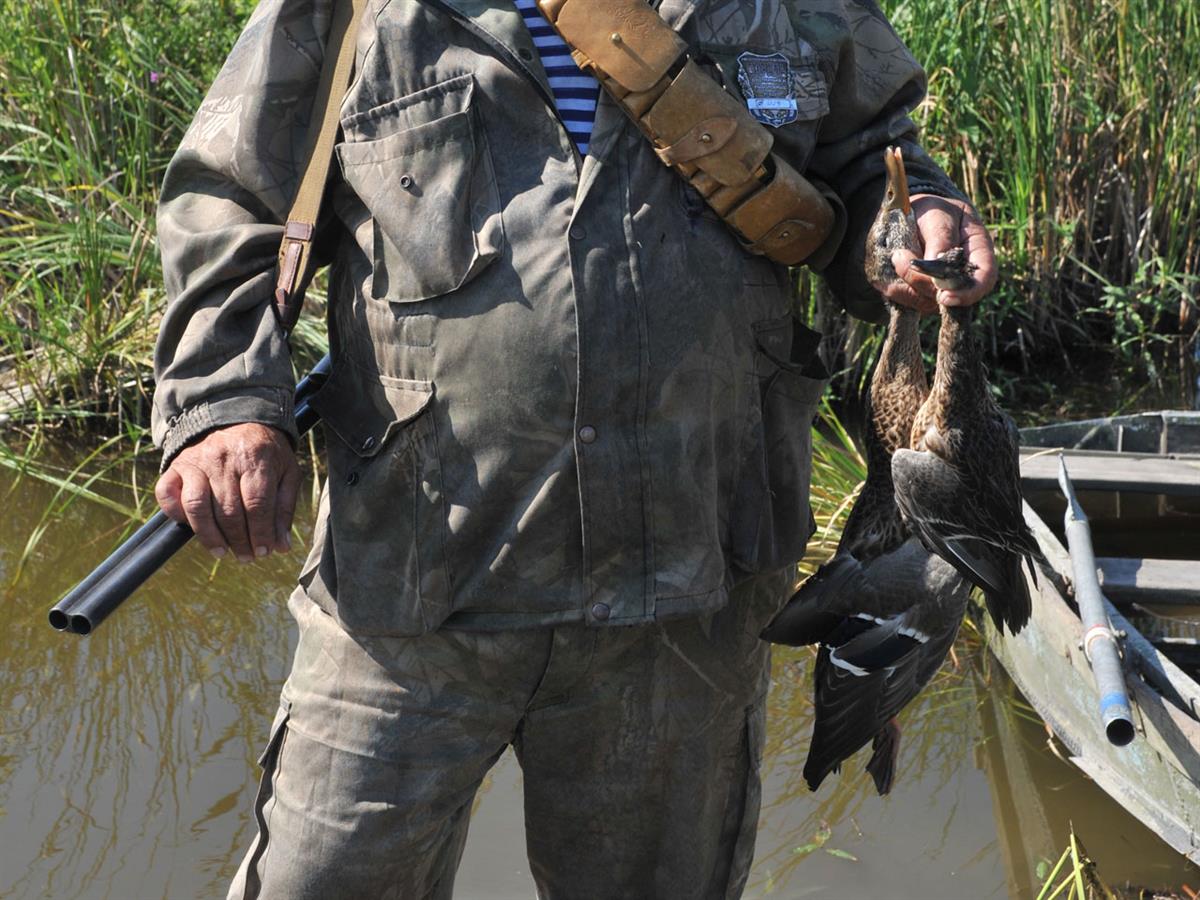 Сроки весенней охоты 2024 в новосибирской области. Водоплавающая дичь на Волге. Костюм для охоты на водоплавающую дичь. Весенняя охота на водоплавающую дичь в Ленинградской.