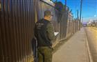 В Самаре бездомные псы напали на женщину, возбуждено уголовное дело