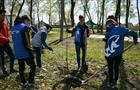 120 молодых деревьев украсили Парк Победы в Кинеле