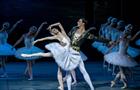 На сцене Самарского театра оперы и балета покажут жемчужину русской классики — балет "Лебединое озеро"