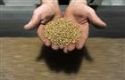 Самарские производители зерна снижают рентабельность