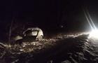 В Сызрани ночью водитель иномарки врезался в дерево 