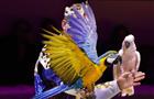 Королевский цирк Гии Эрадзе продолжает гастроли в Самаре