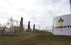 У «Роснефти» подрастает «внучка»