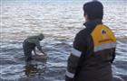 Сотрудники ННК выпустили в Волгу мальков сазана