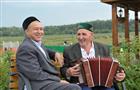 В селе Алькино пройдет татарский национальный праздник "Сабантуй"  