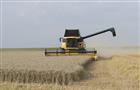 Хлеборобы Саратовской области намолотили 2,5 млн тонн пшеницы