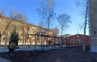 В Бардовском сквере Новокуйбышевска начали высаживать сосны
