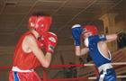 В Отрадном проходит открытое первенство по боксу среди юношей 