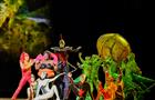 "Цирк дю Солей" привезет в Тольятти шоу OVO