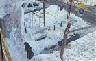 В Самаре возбуждено третье уголовное дело из-за сошедшего на людей с крыш снега