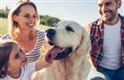 МегаФон предлагает добавлять домашних животных в семейную группу