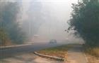 Пожар в лесной зоне в районе Портпоселка Тольятти ликвидирован