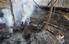 В Тольятти открылся сезон лесных пожаров
