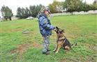 Служебные собаки областной полиции стали чемпионами России
