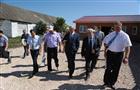 Глава региона оценил работу животноводческой фермы в Челно-Вершинском районе
