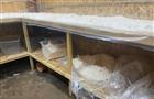 ФСБ нашла 117 кг "синтетики" в частном доме в Самарской области