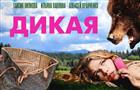 Якутский вестерн и новая робинзонада: июльские кинопремьеры в Wink добавят лету остроты