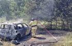В Шигонском районе у леса горел автомобиль