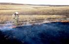 Более трех часов пожарные тушили горящую траву у Николаевки