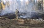 Более 130 человек тушат крупный пожар в Новобуянском лесничестве