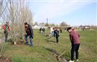 Сотрудники Новокуйбышевского завода масел и присадок навели порядок в Липягах и Маяке