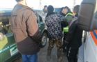 В Тольятти спасли краснокнижного птенца 