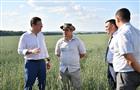 Сергиевские аграрии рассказали Дмитрию Азарову о посевной кампании