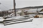 Житель Самарской области незаконно срубил 54 липы и дуба