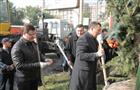 На Дмитрия Азарова и Александра Фетисова подали в суд за высадку елей перед ЦУМом "Самара"